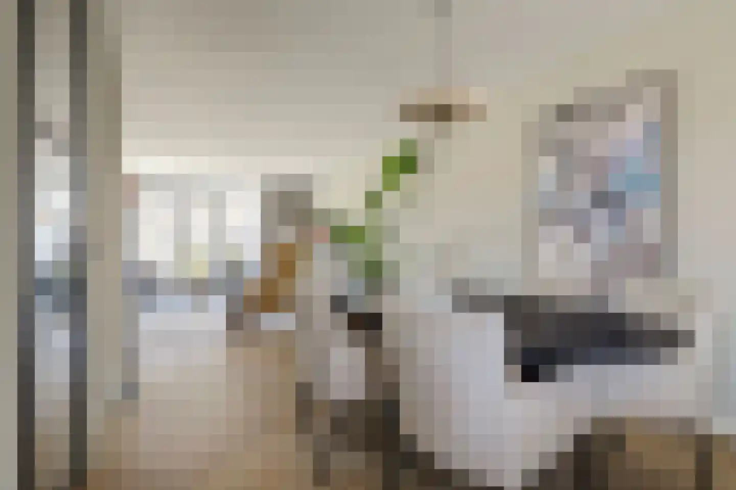 Reijersgroet 126 Alkmaar thumbnail 16