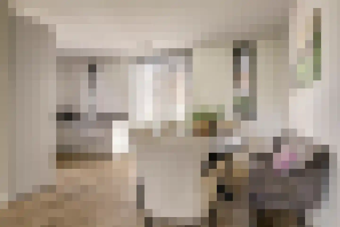 Reijersgroet 71 Alkmaar thumbnail 13