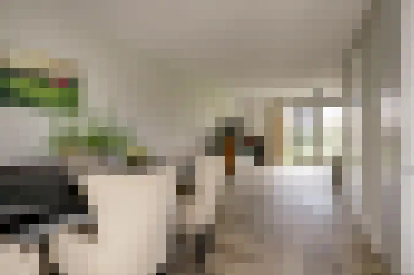 Reijersgroet 71 Alkmaar thumbnail 20