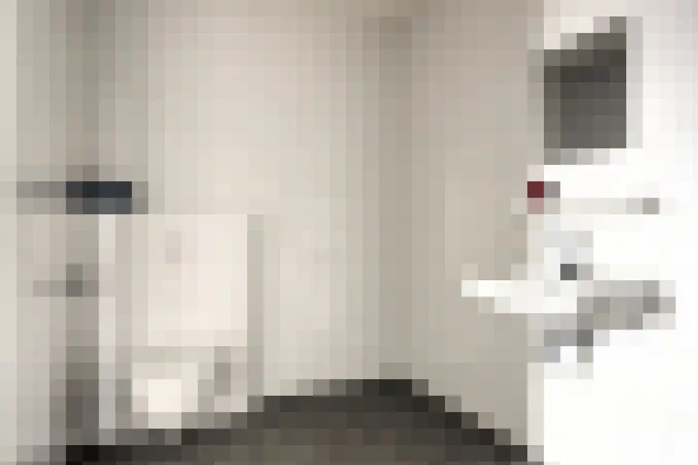 Reijersgroet 71 Alkmaar thumbnail 32