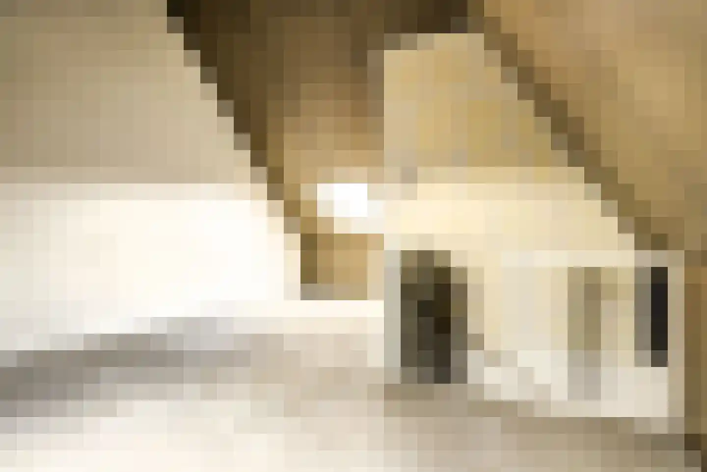 Reijersgroet 71 Alkmaar thumbnail 36