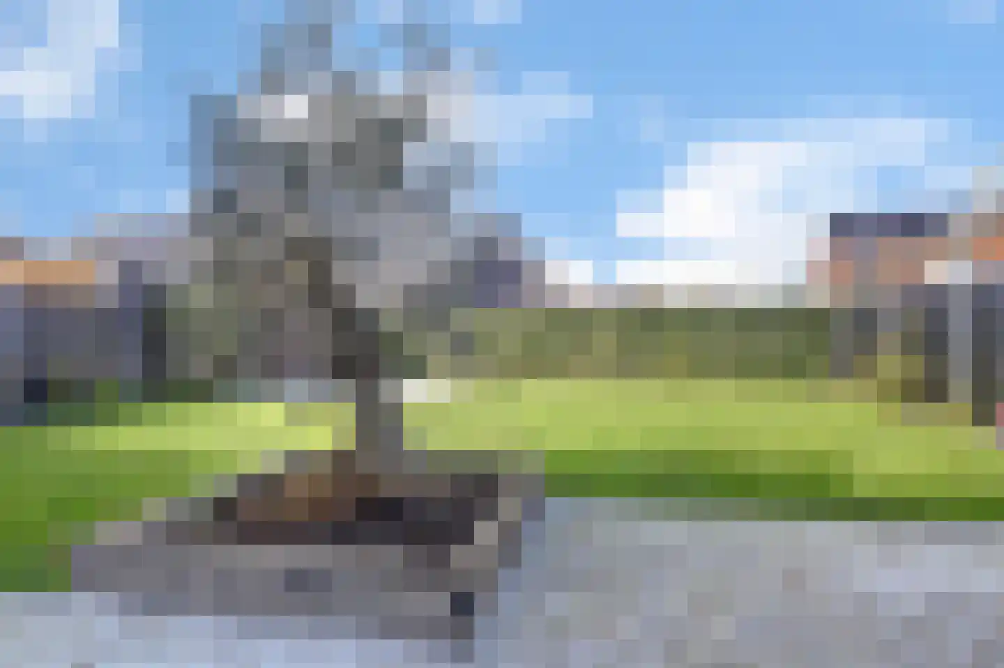 Reijersgroet 71 Alkmaar thumbnail 47