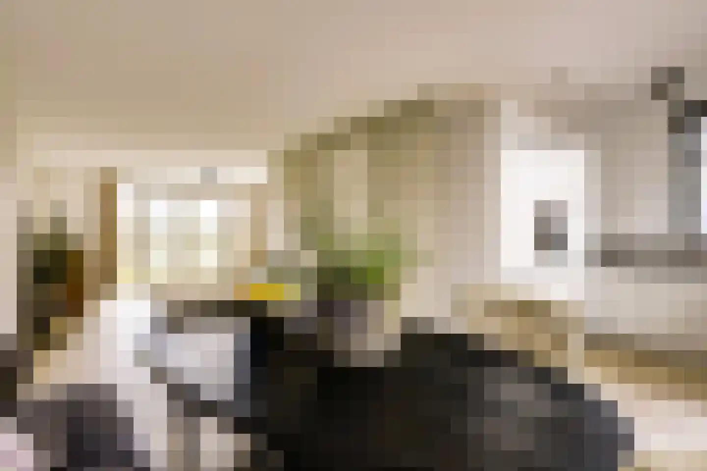Reijersgroet 71 Alkmaar thumbnail 7