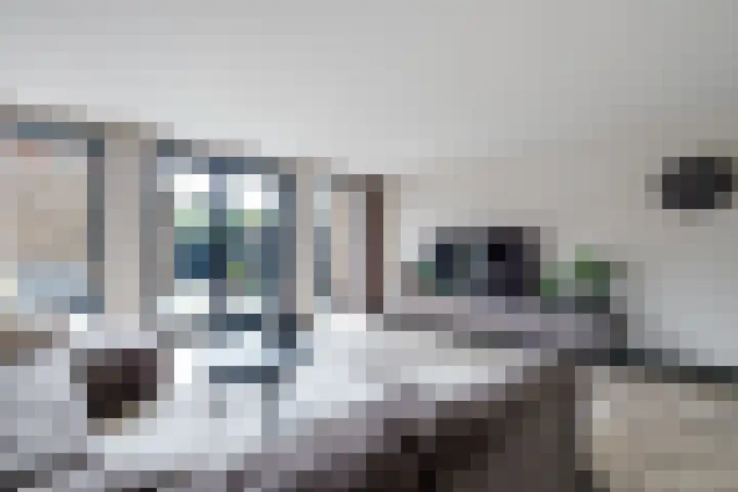 Reijersgroet 73 Alkmaar thumbnail 15