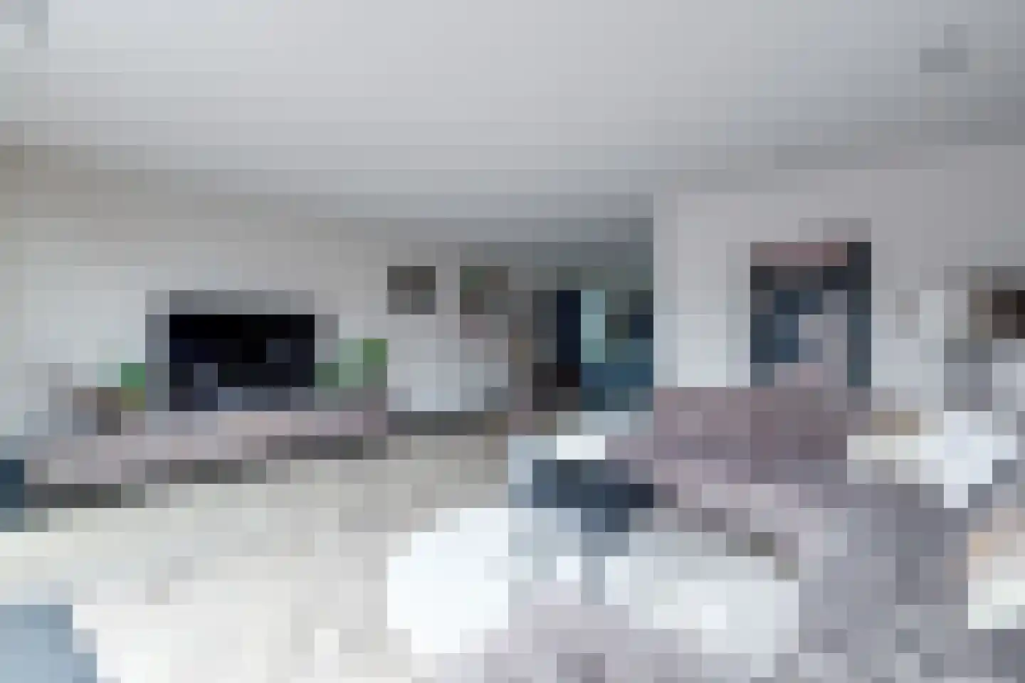 Reijersgroet 73 Alkmaar thumbnail 16