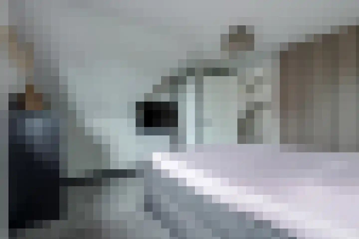 Reijersgroet 73 Alkmaar thumbnail 28