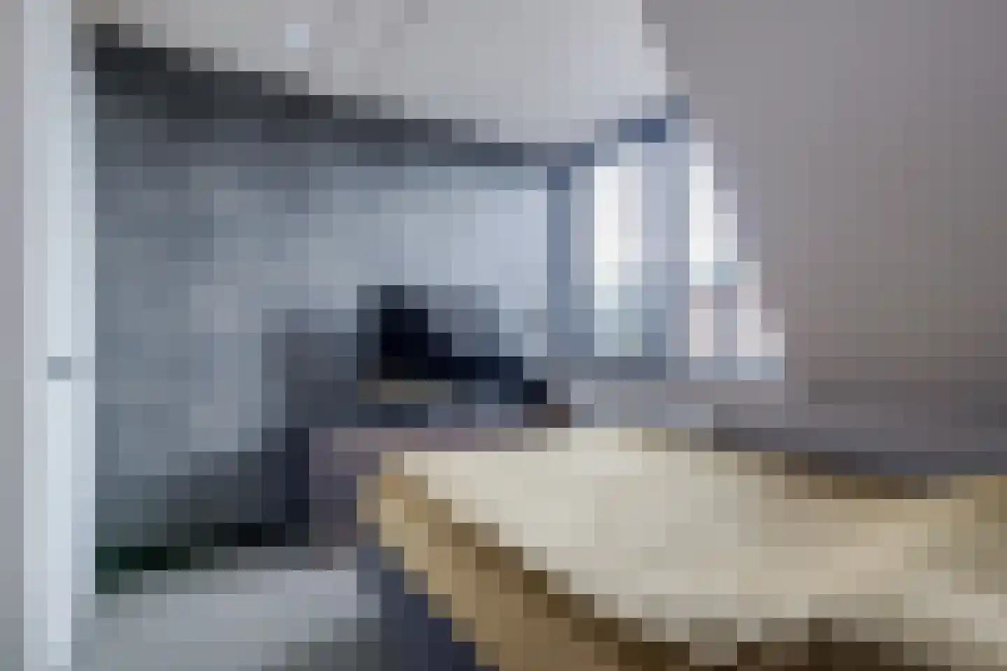 Reijersgroet 73 Alkmaar thumbnail 33