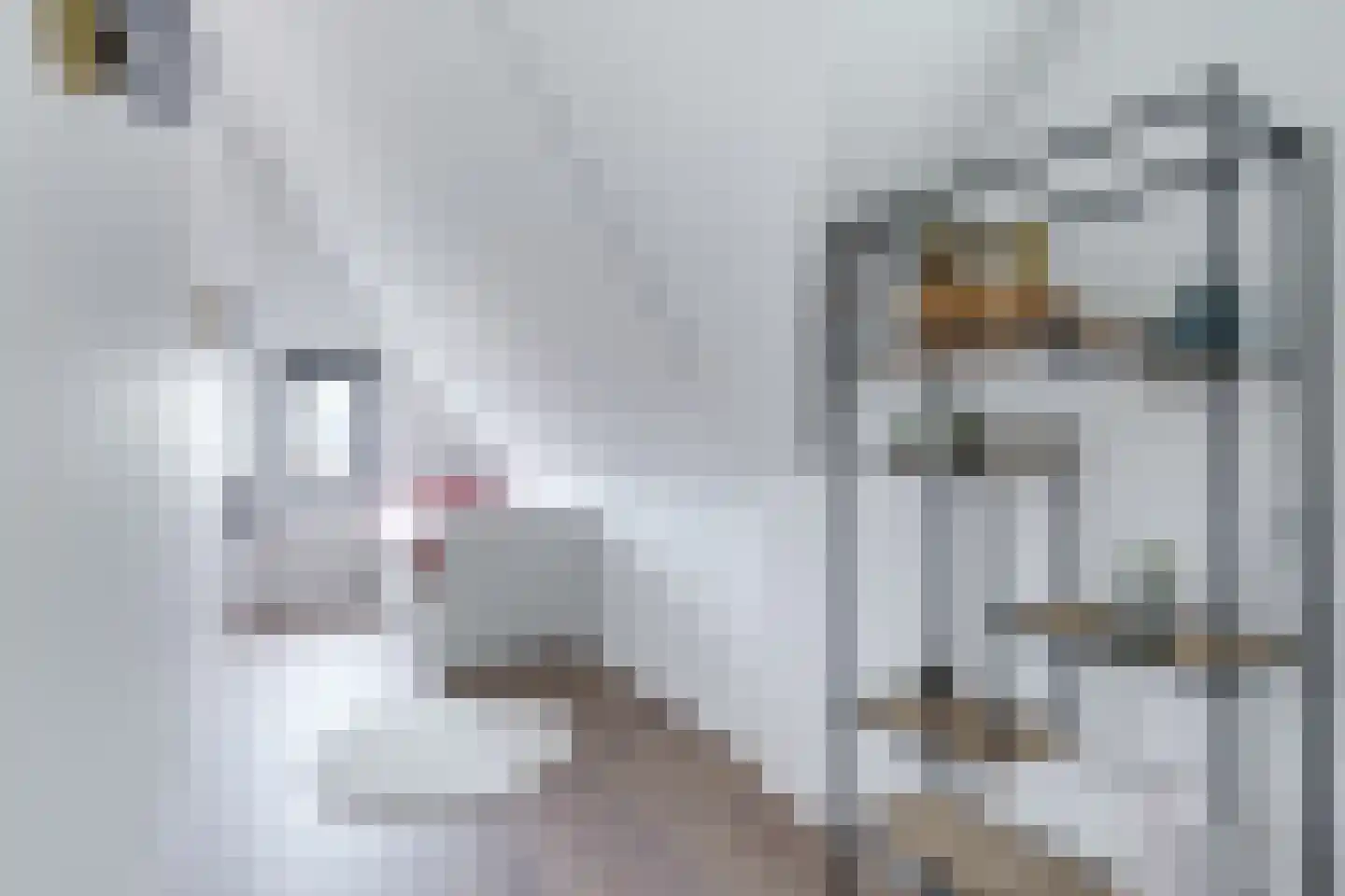 Reijersgroet 73 Alkmaar thumbnail 41