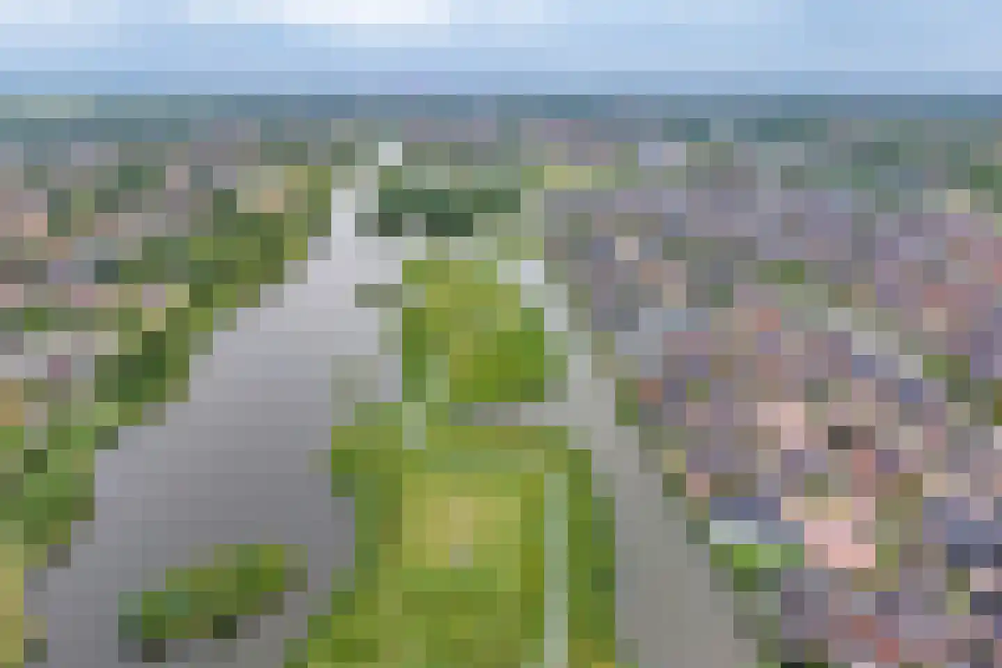 Reijersgroet 73 Alkmaar thumbnail 51