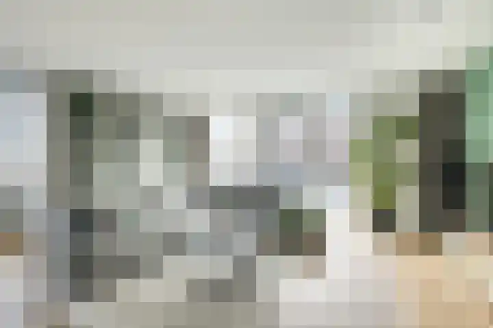 Reijersgroet 97 Alkmaar thumbnail 15