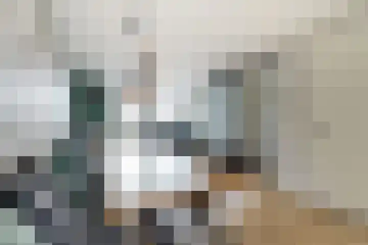 Reijersgroet 97 Alkmaar thumbnail 18