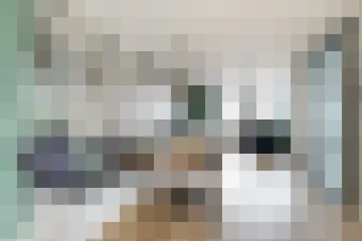 Reijersgroet 97 Alkmaar thumbnail 19