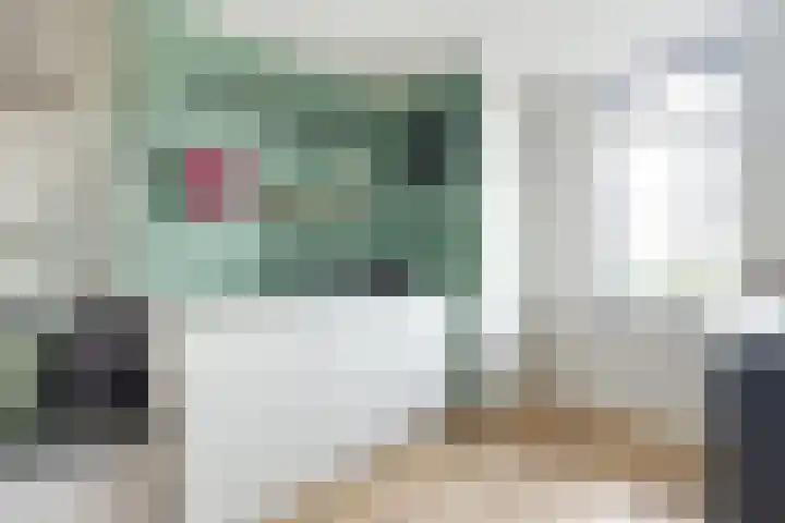 Reijersgroet 97 Alkmaar thumbnail 20