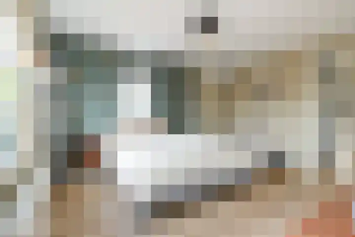Reijersgroet 97 Alkmaar thumbnail 31