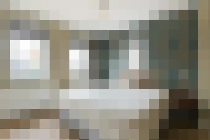 Reijersgroet 97 Alkmaar thumbnail 34