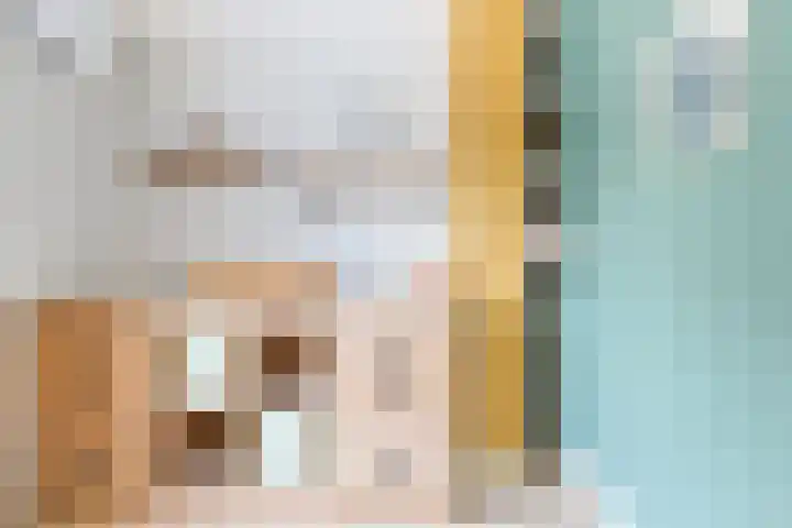 Reijersgroet 97 Alkmaar thumbnail 38