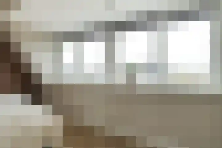 Reijersgroet 97 Alkmaar thumbnail 51