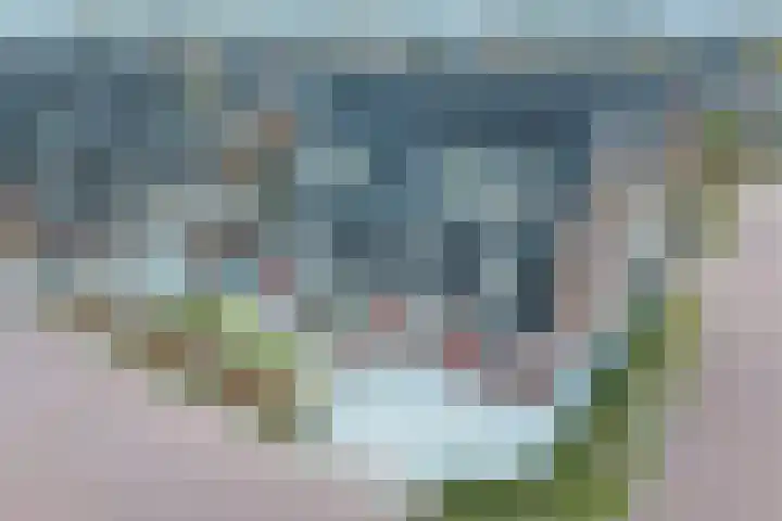 Reijersgroet 97 Alkmaar thumbnail 67