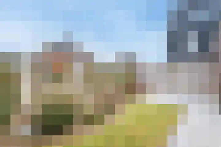 Reijersgroet 97 Alkmaar thumbnail 70