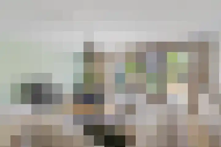 Reijersgroet 99 Alkmaar thumbnail 10