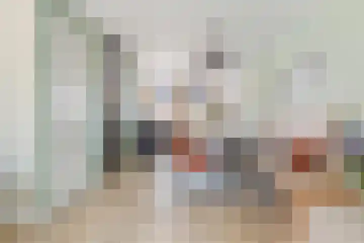 Reijersgroet 99 Alkmaar thumbnail 17