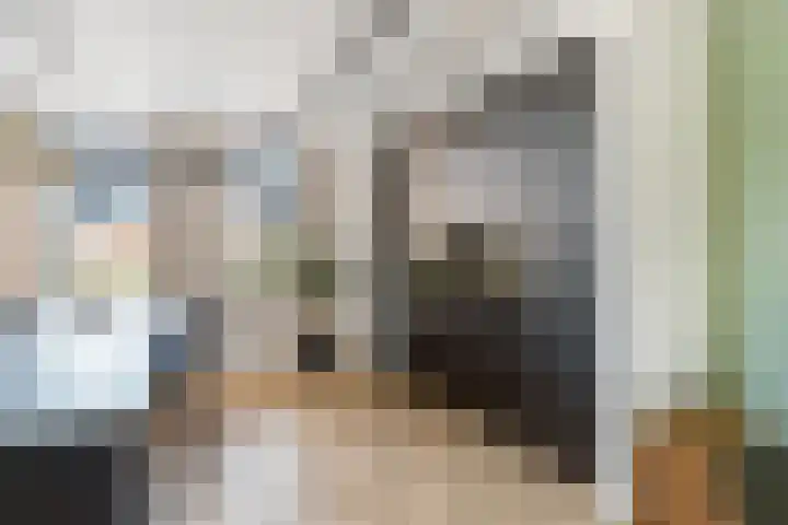 Reijersgroet 99 Alkmaar thumbnail 19