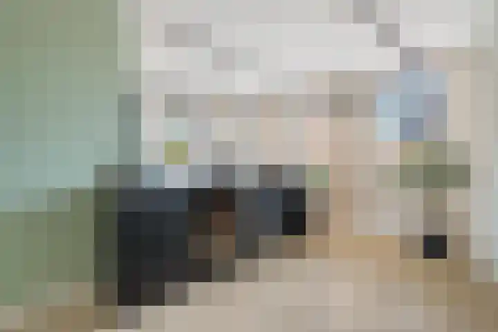 Reijersgroet 99 Alkmaar thumbnail 20