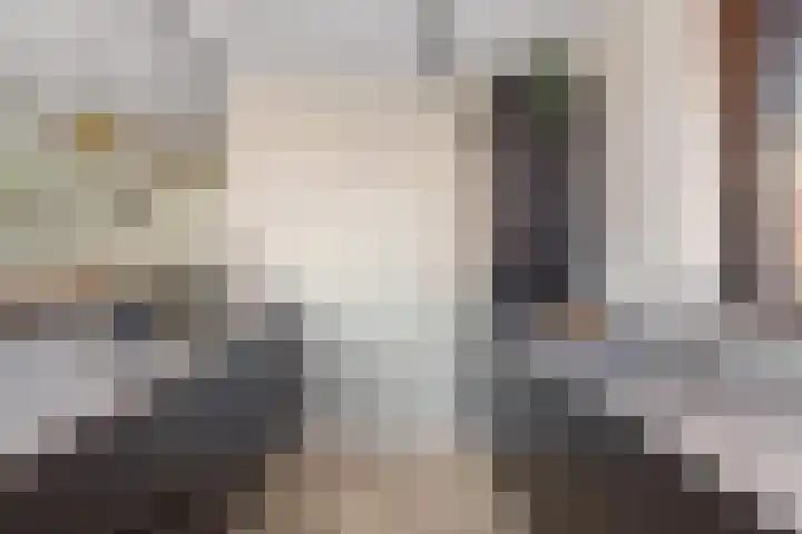 Reijersgroet 99 Alkmaar thumbnail 24