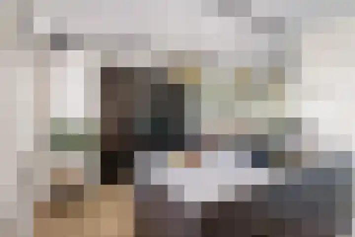 Reijersgroet 99 Alkmaar thumbnail 25