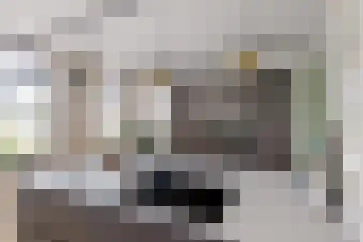 Reijersgroet 99 Alkmaar thumbnail 26