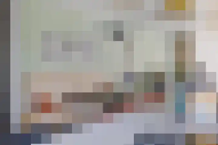Reijersgroet 99 Alkmaar thumbnail 28