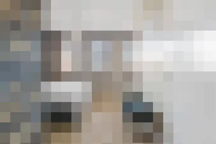 Reijersgroet 99 Alkmaar thumbnail 31
