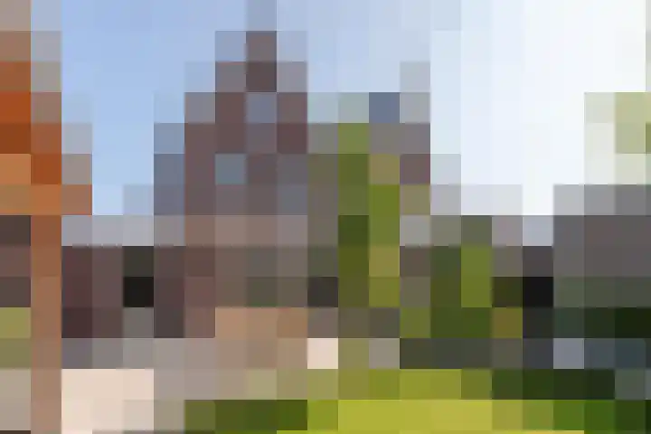 Reijersgroet 99 Alkmaar thumbnail 4