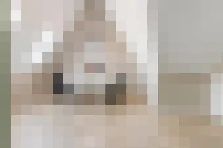 Reijersgroet 99 Alkmaar thumbnail 50