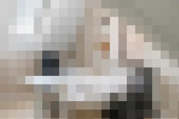 Reijersgroet 99 Alkmaar thumbnail 51
