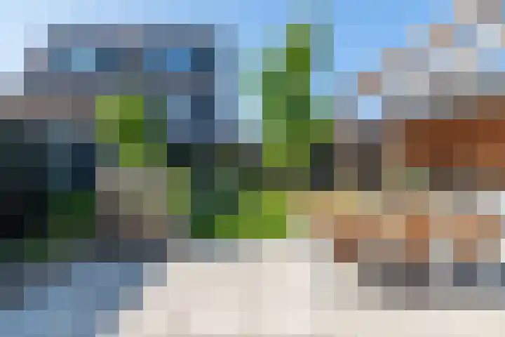 Reijersgroet 99 Alkmaar thumbnail 53