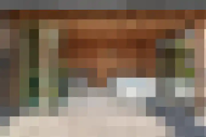 Reijersgroet 99 Alkmaar thumbnail 55