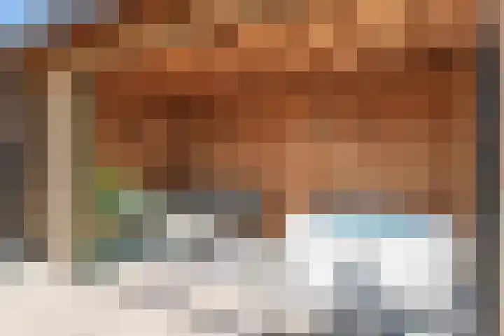 Reijersgroet 99 Alkmaar thumbnail 57