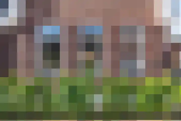 Reijersgroet 99 Alkmaar thumbnail 6