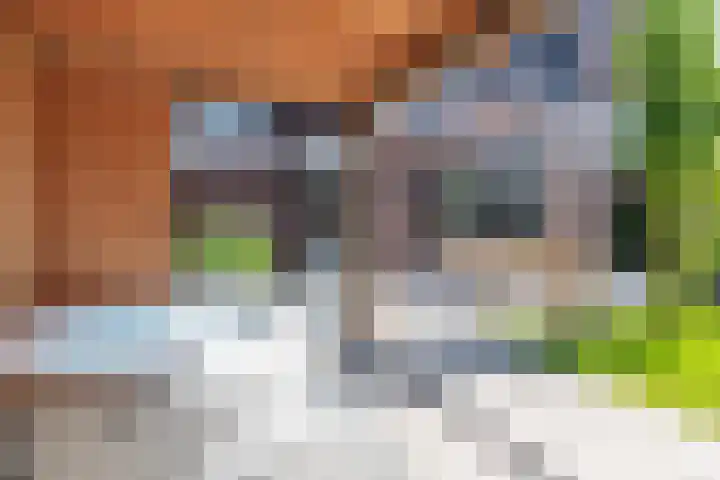 Reijersgroet 99 Alkmaar thumbnail 60