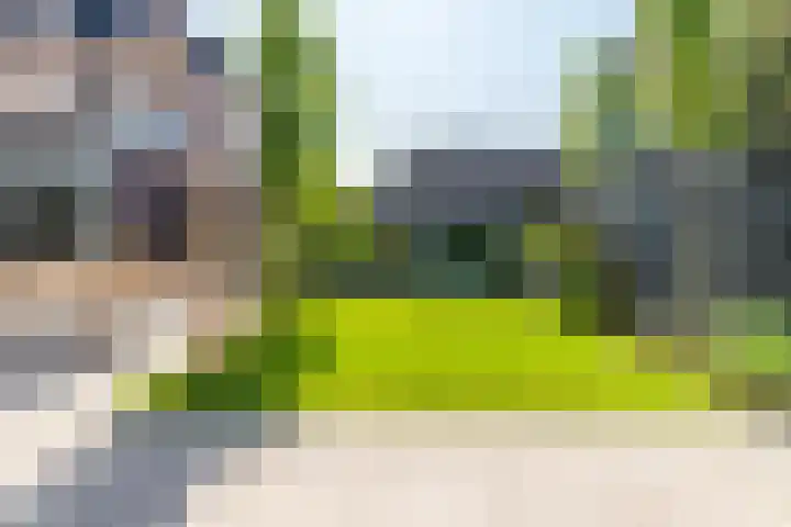 Reijersgroet 99 Alkmaar thumbnail 61
