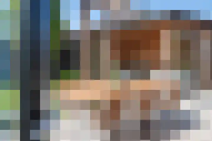 Reijersgroet 99 Alkmaar thumbnail 64