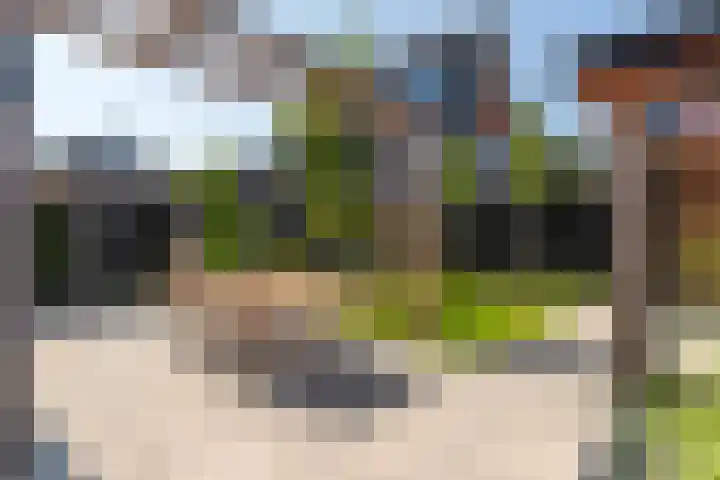 Reijersgroet 99 Alkmaar thumbnail 67