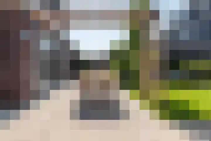 Reijersgroet 99 Alkmaar thumbnail 68