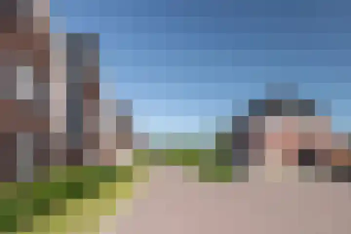 Reijersgroet 99 Alkmaar thumbnail 75