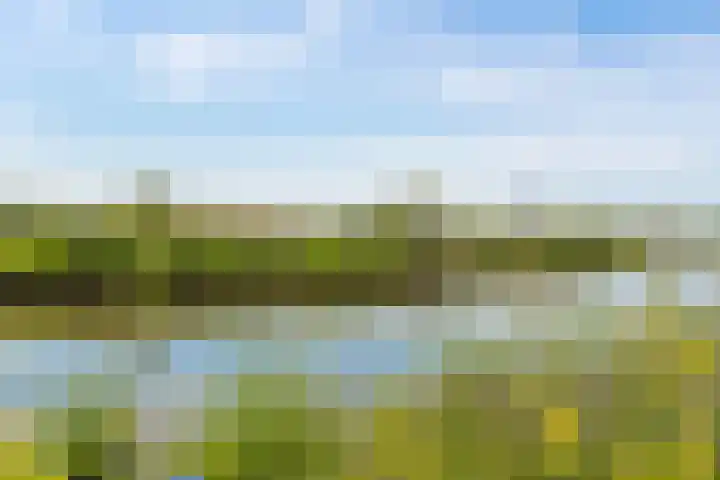 Reijersgroet 99 Alkmaar thumbnail 76