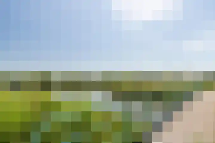 Reijersgroet 99 Alkmaar thumbnail 77