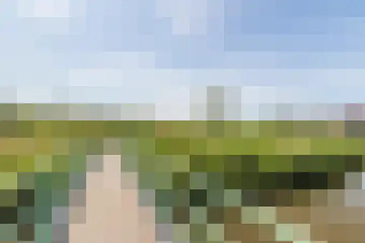 Reijersgroet 99 Alkmaar thumbnail 79