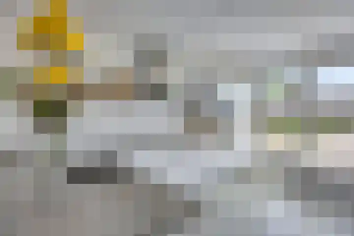 Reijershofstraat 23 Lent thumbnail 17