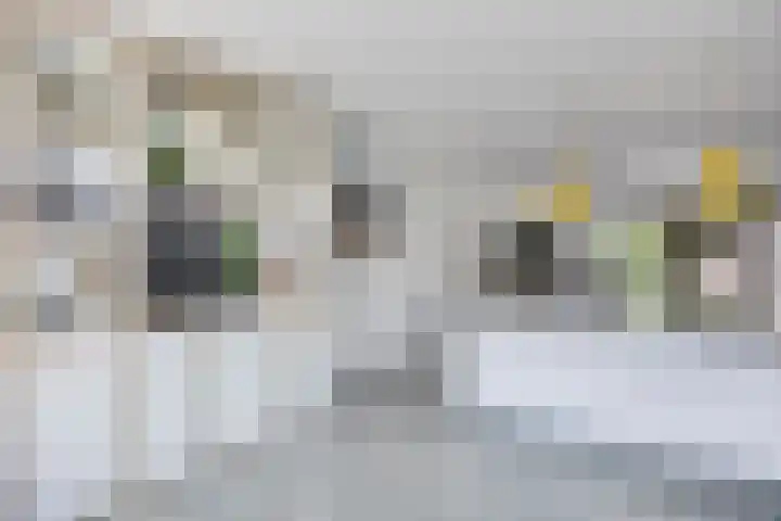 Reijershofstraat 23 Lent thumbnail 18